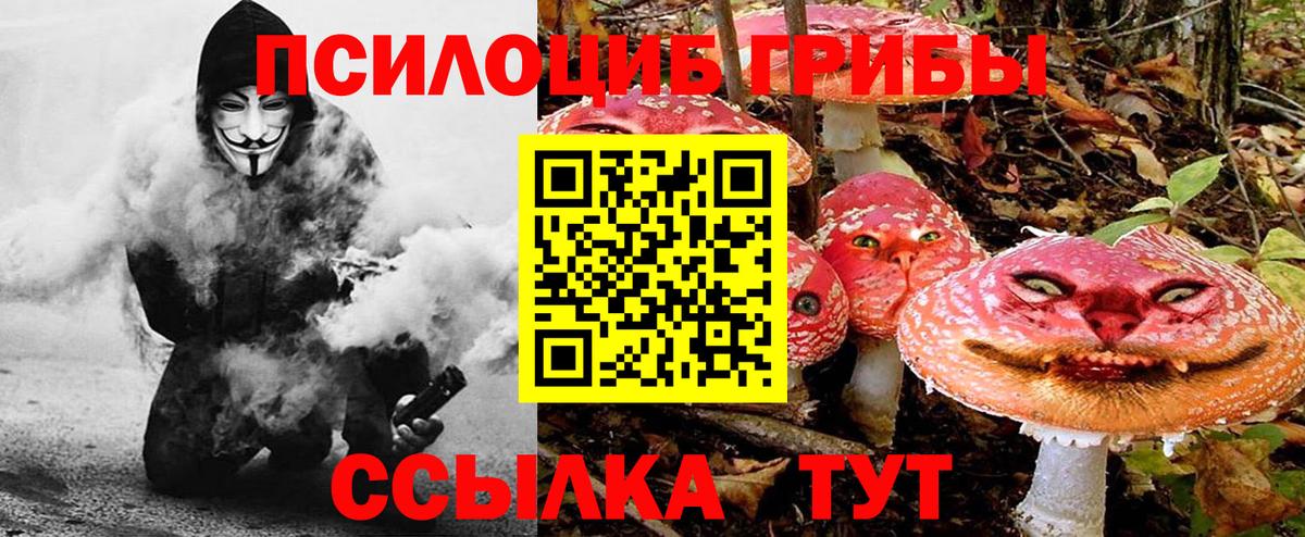 Галлюциногенные грибы MAGIC MUSHROOMS  Вход с VPN  где можно купить   Ишимбай 